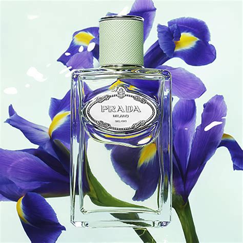 prada les infusions d'iris|prada infusion d'iris 50ml.